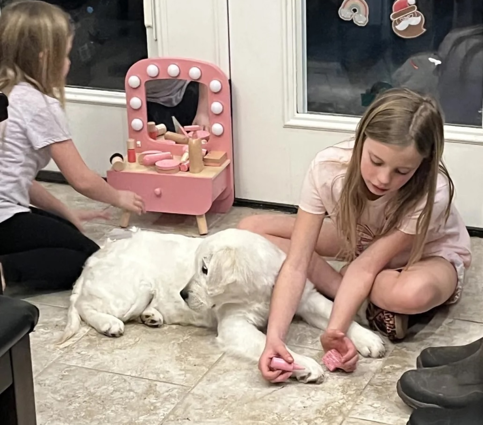 Kennel Training Your English Cream Retriever Puppy
