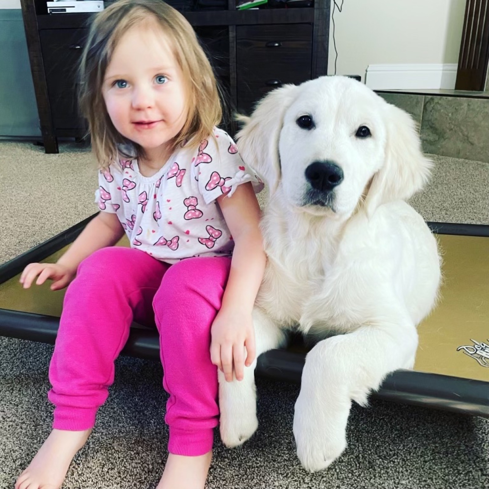 Puppy Application