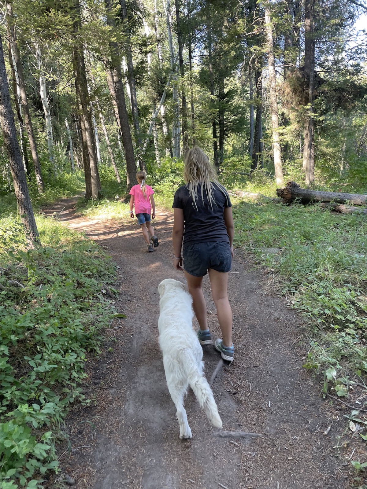 Sharon and the Aspen Ridge Retrievers family